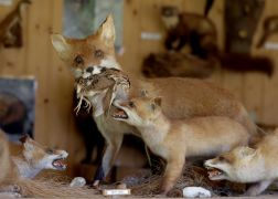 Familienwandertag 2024 In Jena 10